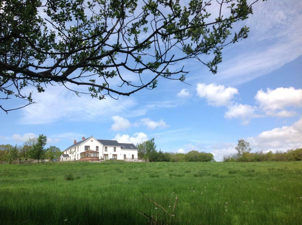 Penddaulwyn Uchaf Farm # Carmarthenshire Nantgaredig Exterior foto