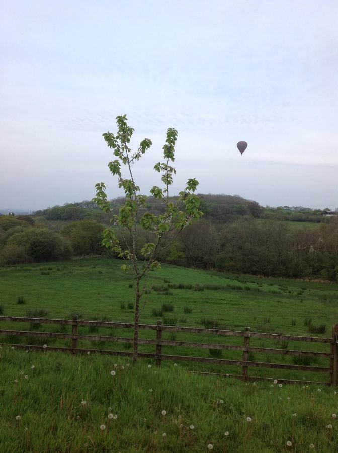 Penddaulwyn Uchaf Farm # Carmarthenshire Nantgaredig Exterior foto