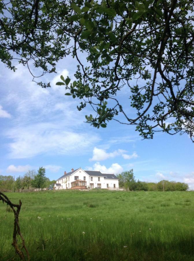Penddaulwyn Uchaf Farm # Carmarthenshire Nantgaredig Exterior foto
